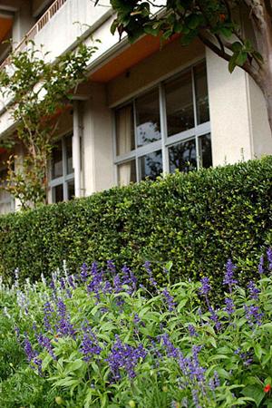 世田谷区の早期に取り組む英語学習の利点